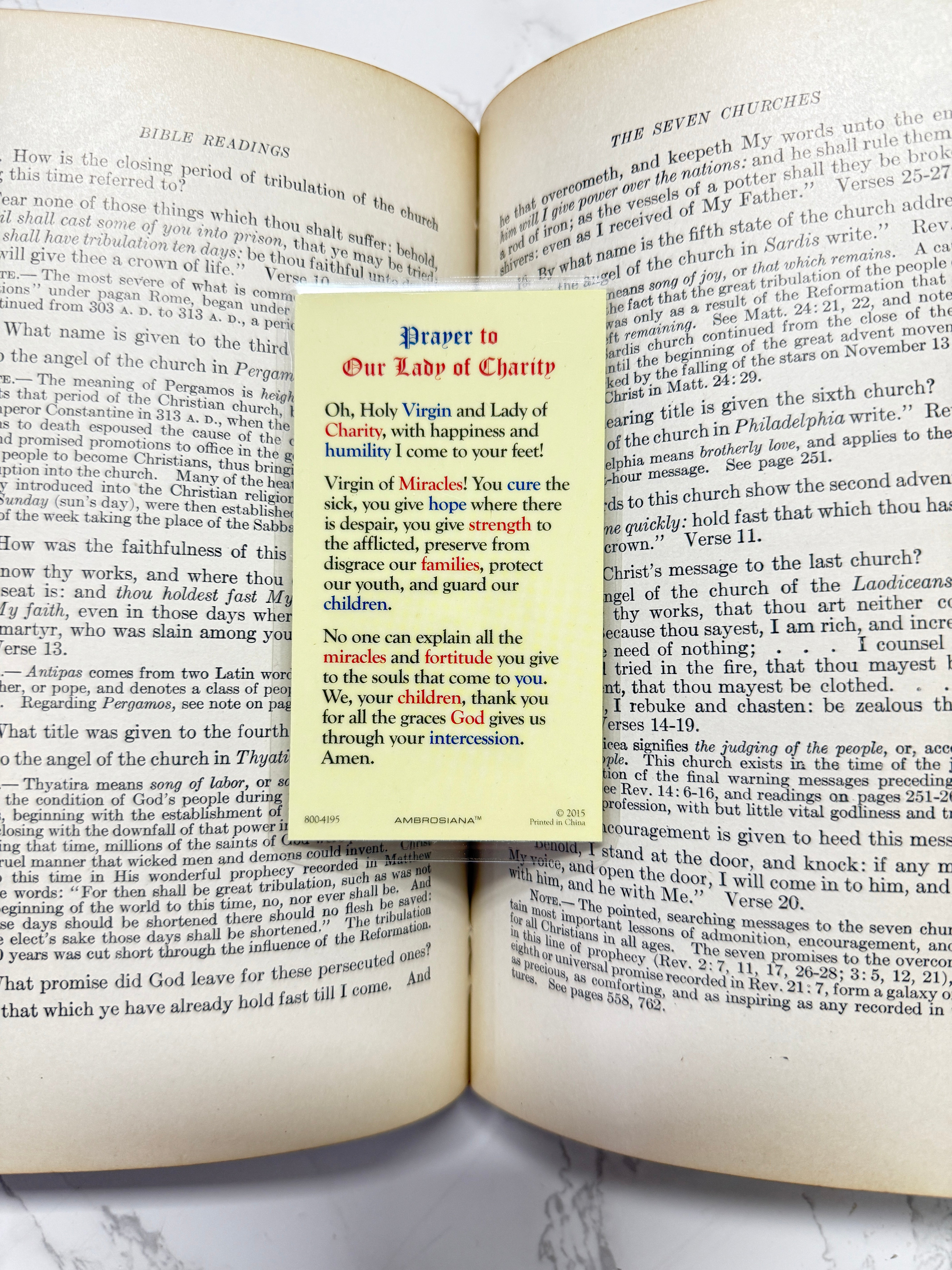 Our Lady of Charity Holy Card