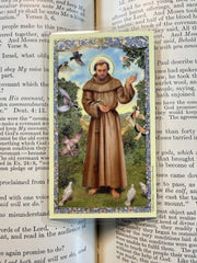 Saint Francis Assisi Card