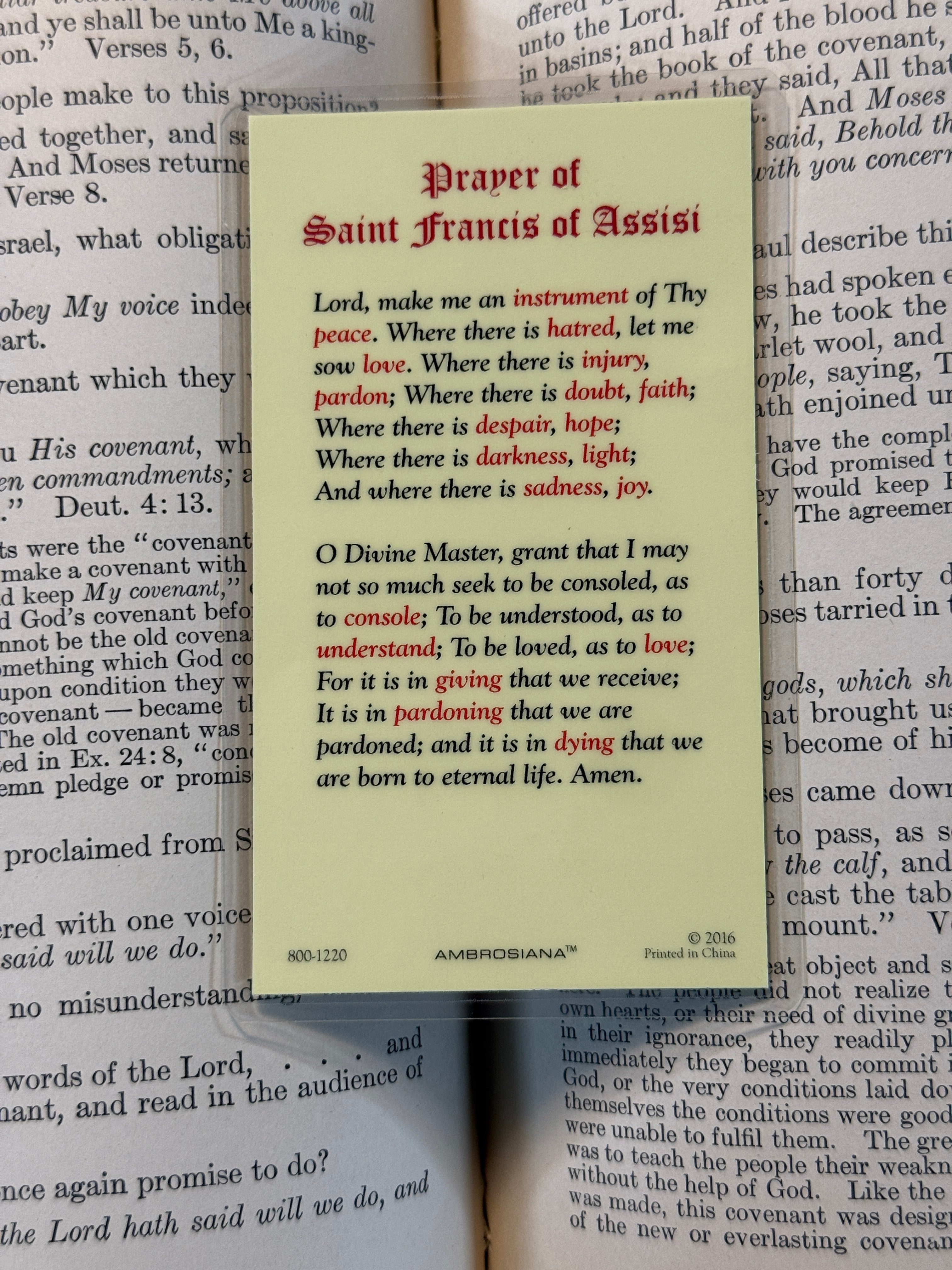 Saint Francis Assisi Card